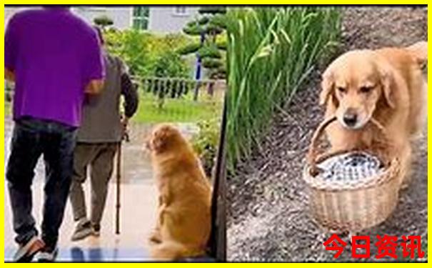 中国哪里最热城市